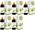 5 x Symbiotics Graviola 500 ml, EkaMedica.webp
