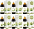 6 x Symbiotics Graviola 500 ml, EkaMedica.webp