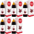 5 x Symbiotics Burak 1000 ml, EkaMedica.webp