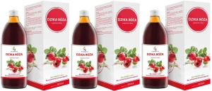 3 x Symbiotics Dzika Róża  500 ml, EkaMedica