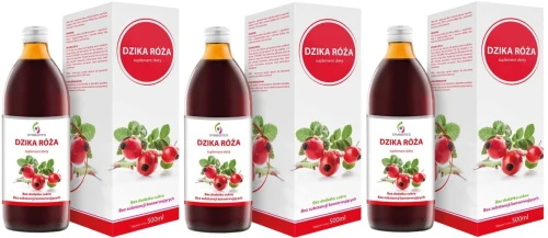 3 x Symbiotics Dzika Róża  500 ml, EkaMedica.webp