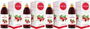 4 x EkaMedica Symbiotics Dzika Róża 500 ml – Odporność Witamina C Antyoksydacja