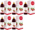 5 x Symbiotics Dzika Róża  500 ml, EkaMedica.webp