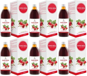 6 x EkaMedica Symbiotics Dzika Róża 500 ml – Odporność Witamina C Antyoksydacja