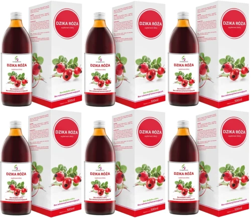 6 x Symbiotics Dzika Róża  500 ml, EkaMedica.webp