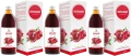 3 x Symbiotics Granat 1000 ml, EkaMedica.webp