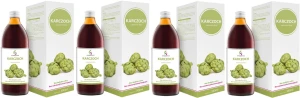 4 x EkaMedica Symbiotics Karczoch 500 ml – Wątroba Trawienie Detoks