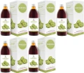 5 x Symbiotics Karczoch 500 ml, EkaMedica.webp