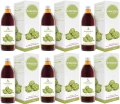 6 x Symbiotics Karczoch 500 ml, EkaMedica.webp