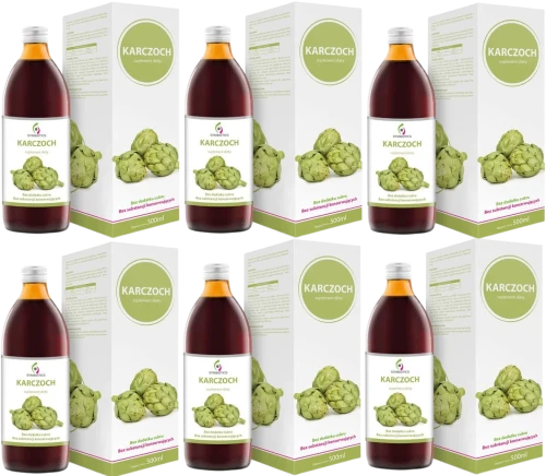 6 x Symbiotics Karczoch 500 ml, EkaMedica.webp
