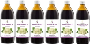 6 x EkaMedica Symbiotics Morwa Biała 1000 ml – Cukier Metabolizm Insulina
