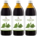3 x Symbiotics Pokrzywa 1000 ml, EkaMedica.webp