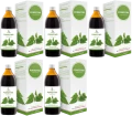 5 x Symbiotics Pokrzywa 500 ml, EkaMedica.webp
