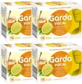 4 x Garda Vocal, Salvum.webp