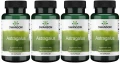 4 x Astragalus 470mg 100 kaps, Swanson.webp