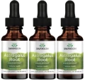 3 x Astragalus Root Liquid Extract 29,6ml, Swanson.webp