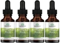 4 x Astragalus Root Liquid Extract 29,6ml, Swanson.webp