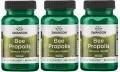 3 x Bee Propolis 550mg 60 kaps, Swanson.webp