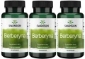 3 x Berberyna 400mg 60kaps, Swanson.webp