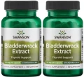 2 x Bladderwrack Extract - Morszczyn pęcherzyk 60 kaps, Swanson.webp