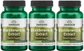 3 x Bladderwrack Extract - Morszczyn pęcherzyk 60 kaps, Swanson.webp
