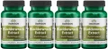 4 x Bladderwrack Extract - Morszczyn pęcherzyk 60 kaps, Swanson.webp