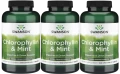3 x Chlorophyllin &amp; Mint - Chlorofil z miętą 500 tabl do ssania, Swanson.webp