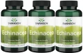 3 x Echinacea 400mg 100kaps, Swanson.webp