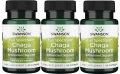 3 x FS Chaga Mushroom 60kaps, Swanson.webp