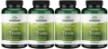 4 x FS Milk Thistle 500mg 100 kaps, Swanson.webp