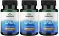 3 x GABA 250mg 60kaps, Swanson.webp
