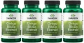 4 x Ginkgo Biloba ekstrakt 60mg 120 kaps, Swanson.webp