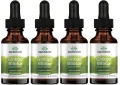 4 x Ginkgo Biloba liquid ekstrakt 29,6ml, Swanson.webp