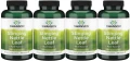 4 x Stinging Nettle Leaf - Pokrzywa (liście) 400mg 120 kaps, Swanson.webp
