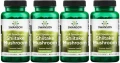 4 x FS Shiitake Mushroom - Shiitake grzybek 500mg 60 kaps., Swanson.webp