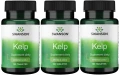 3 x Kelp 225mcg 100 tabs, Swanson.webp