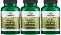 3 x Cinnamon Gymnema Bulberry - Kompleks Cynamonu, Gymnemy i Morwy 120 kap, Swanson.webp