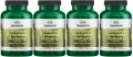 4 x Cinnamon Gymnema Bulberry - Kompleks Cynamonu, Gymnemy i Morwy 120 kap, Swanson.webp