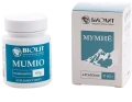 Mumio ałtajskie, Biolit 2.webp