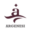 Argenesi logo.webp