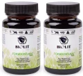2 x Toksidont maj plus, Biolit.webp