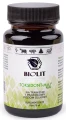 Toksidont maj plus, Biolit.webp