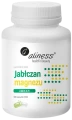 Jabłczan magnezu 140mg z B6 100 kaps Aliness (id: 1303)
