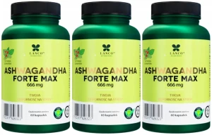 Zestaw 3x - ASHWAGANDHA FORTE MAX 666mg 60 kaps, Lanco Nutritions