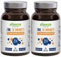 Zinc2_11zon.webp