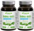 Rhodiola2_11zon.webp