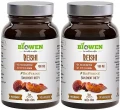 Reishi2_11zon.webp