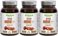 Reishi3_11zon.webp