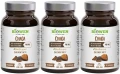 Chaga3_11zon.webp