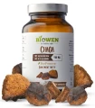 Chaga 400 mg - 40% polisacharydów, 30% beta-glukanów - kapsułki 90szt, Biowen.webp